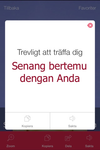 Indonesian Video Dictionary - Translate, Learn and Speak with Video Phrasebook screenshot 3