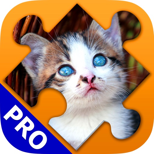 Cats Jigsaw Puzzles. Premium icon