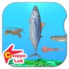 美味しい！海の生き物図鑑 ～かんたん図鑑放置シリーズ～ お魚グルメあつめゲーム - iPhoneアプリ