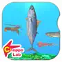 Delicious! SeaCreatures -Simple Pictorial Book Kids Game -