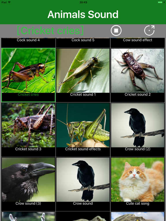 Screenshot #5 pour Animals Sound - Animal Sound Effects Free