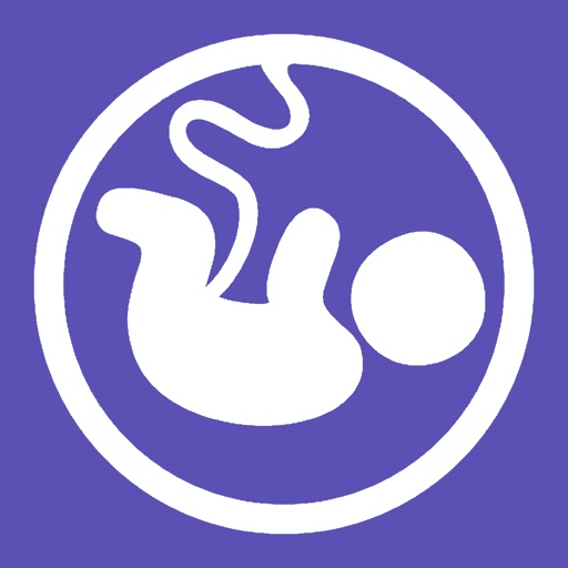 Kicked 2 - Advanced Fetal Movement Counter icon