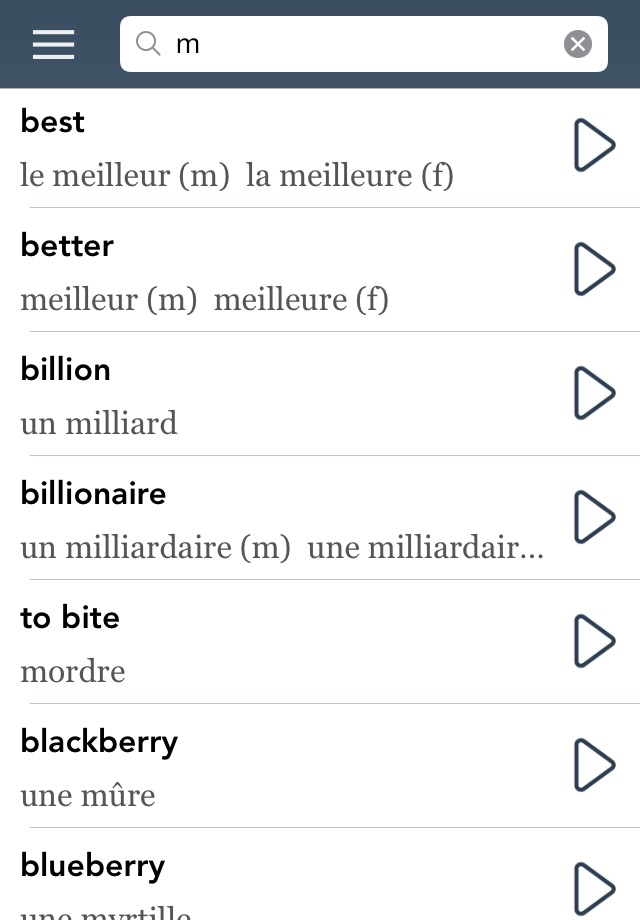 French Essentials screenshot 2