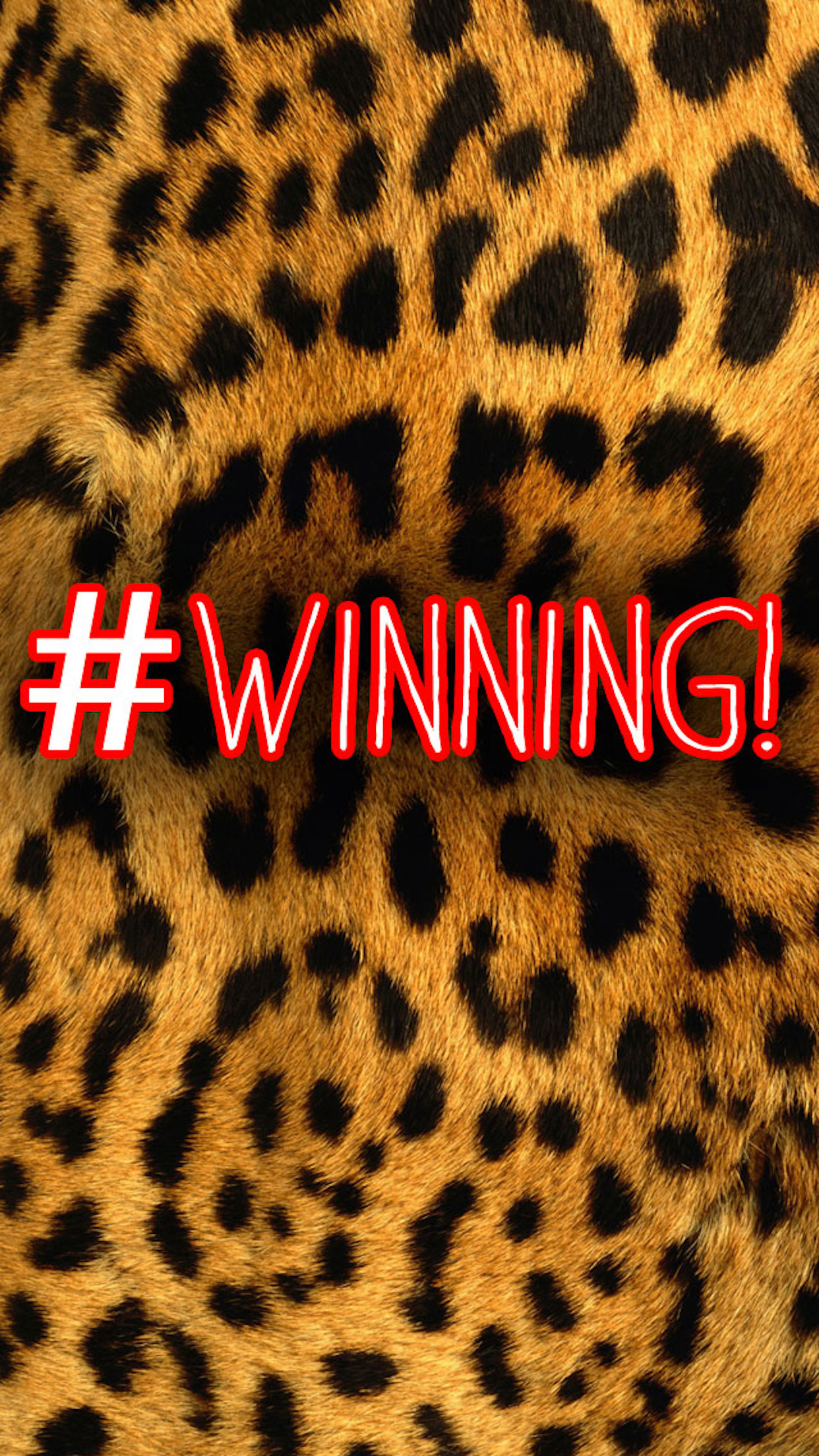Win-ning screenshot 4