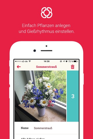 Birgits Blumen screenshot 2