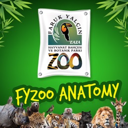 FyZoo Anatomy