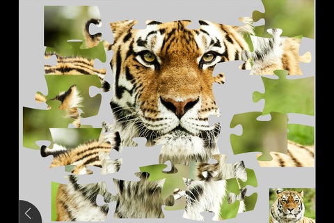 Animals - Jigsaw and Sliding Puzzles screenshot 2