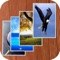 iWallpapers HD Pro lets you enhance your iPad with cool and amazing wallpapers