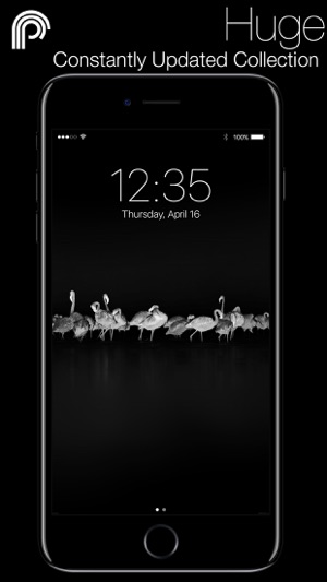 Prax(圖5)-速報App