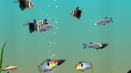 Game screenshot MyLake 3D Aquarium hack