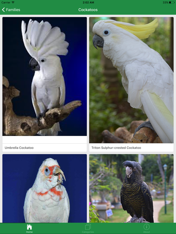 Screenshot #5 pour SGS Birds - Shukavana