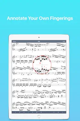 Game screenshot Mozart: Piano Sonatas I apk