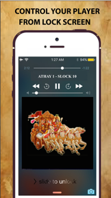 Bhagavad Gita Saar Hindi screenshot