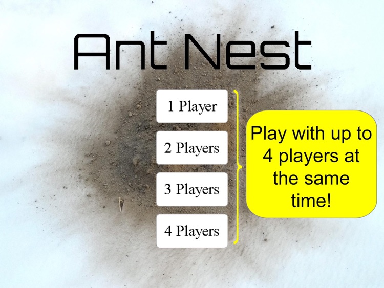 Ant Nest