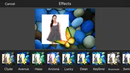 Game screenshot Butterfly Photo Frames & Photo Editor hack