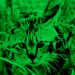 Virtual Night Vision 