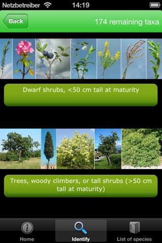 A guide to the woody plants of the Triglav National Park (Slovenia) screenshot 4