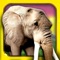 Safari Run - Wild Animal Jam Running Survival Games for Kids