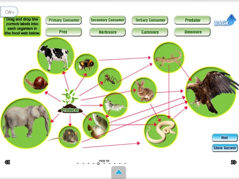 Ecology 2 (School) screenshot 3
