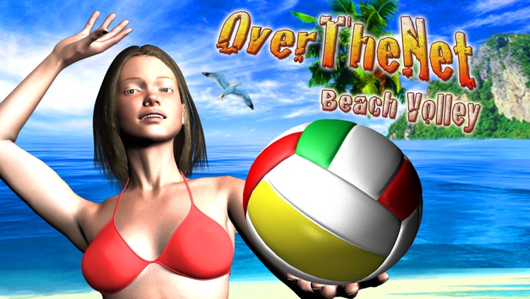 Over The Net Beach Volley Lite