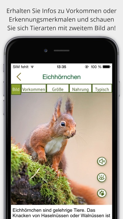 Tierspuren bestimmen – entdecken Sie die 100 wichtigsten heimischen Tierarten an ihren Spuren