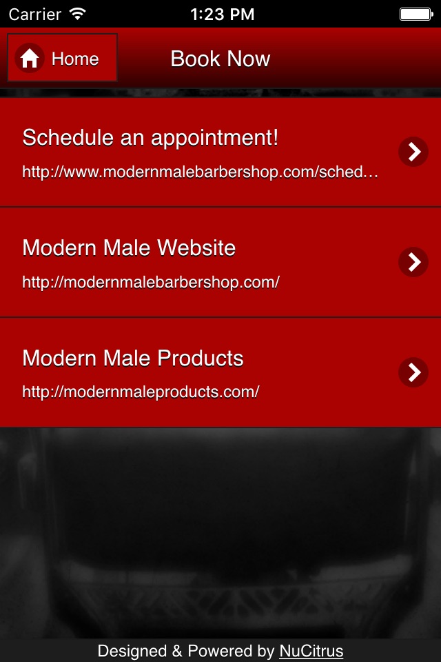 ModernMale screenshot 2