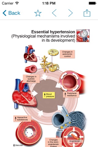 Miniatlas Hypertension screenshot 4