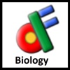 Biology Flashcards Extra