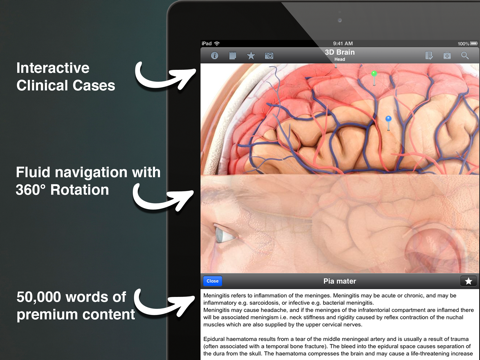 Screenshot #5 pour Pocket Brain - Neuroanatomie Intéractive