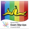 Student Slip-Ups - Revision Flash Cards