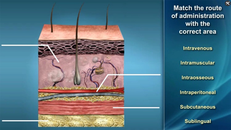Medrills: Administer Medicine screenshot-3