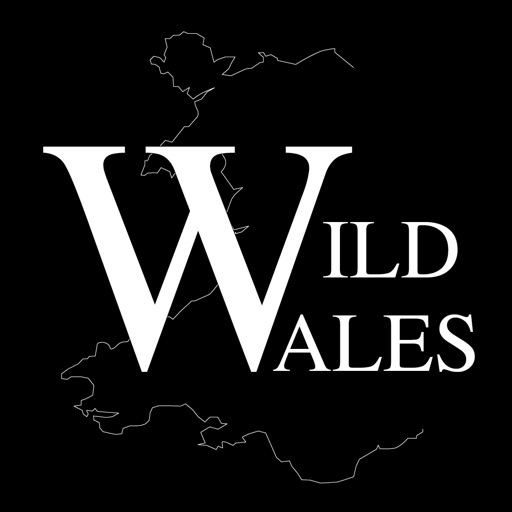 Wild Wales