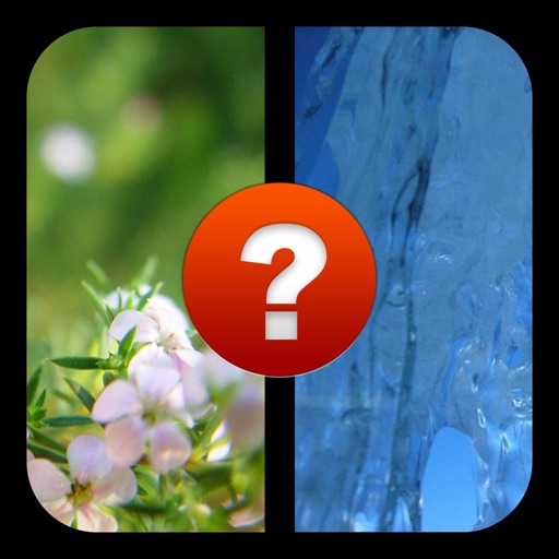 2 Pics 1 Word, What's the Word? A photo guessing game. Test your IQ with the ultimate picture puzzle quiz! iOS App