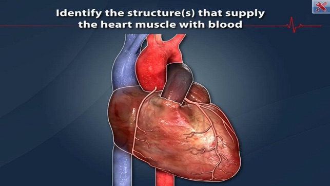 ArchieMD IC Health Coronary Bypass(圖1)-速報App