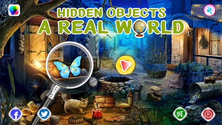 A Real World Hidden Object