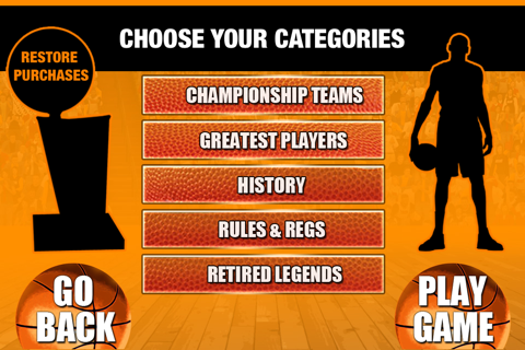 Pro Basketball Playoff Finals screenshot 2