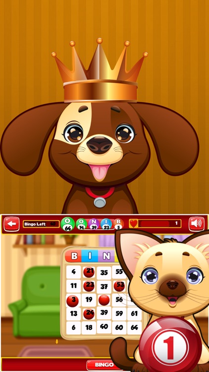 Bingo Panda Blast Pro
