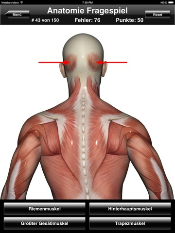 Anatomy Quiz for iPad screenshot 4