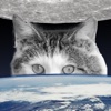 Virganimals - Endless Cute Baby Animals Falls Space Gravity Super Pets