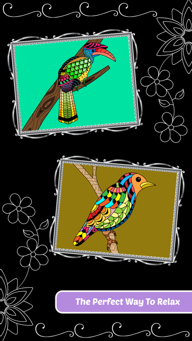 Love Birds Art Class: Stress Relieving Coloring Books for Adults iPhone screenshot