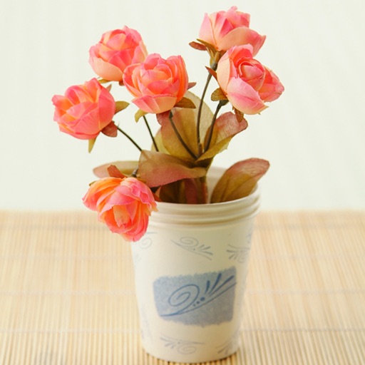 花卉图鉴for mini