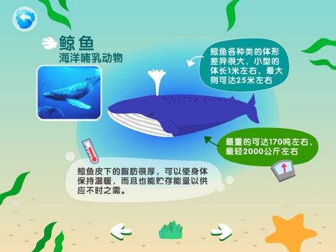 The Little Mermaid(Cantonese) screenshot 3