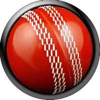 Cricktick - a cricket fungame