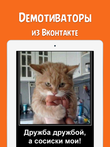 Screenshot #4 pour Чёткие приколы - прикольные картинки демотиваторы, смешные мемы из Вконтакте / ВК / VK