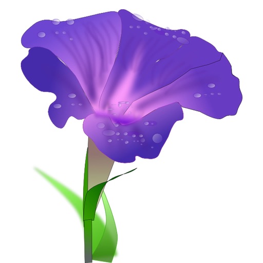 Wild Flowers of Britain HD icon