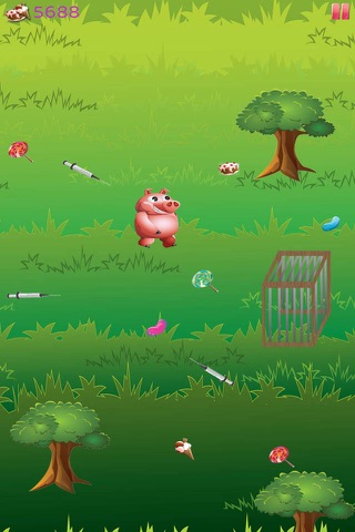 Hungry Panda and Animal Friends Run - How many Lollipop and Jellybeans can you find on the way? screenshot 3