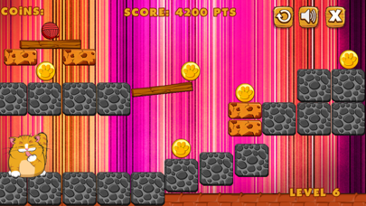 How to cancel & delete Best Funny New Playful Cat of Classic Favorite Games from iphone & ipad 2