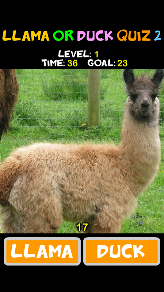 #3. Llama or Duck Quiz 2 (iOS) Podle: Yuan Ruan