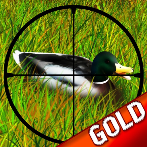 Duck Hunting : The after Deer season Hunt in Grand Park Forest - Gold Edition