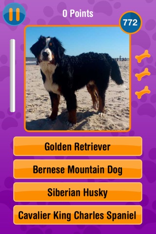 Guess The Dog Breed Free screenshot 2